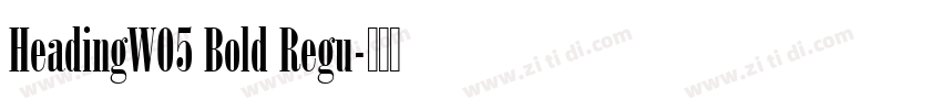 HeadingW05 Bold Regu字体转换